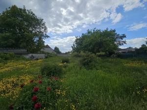 Prodej pozemku pro bydlení, Nové Strašecí, Karlovarská, 780 m2