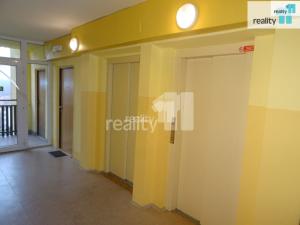 Pronájem bytu 1+kk, Nový Bor, Svojsíkova, 35 m2