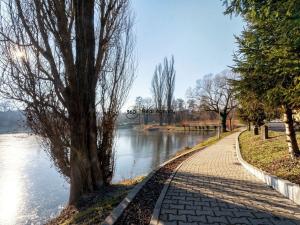 Prodej pozemku, Řitka, Za Štěpnicí, 1208 m2