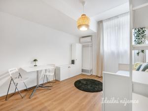 Pronájem bytu 1+kk, Praha - Braník, Branická, 27 m2