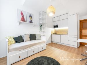 Pronájem bytu 1+kk, Praha - Braník, Branická, 27 m2