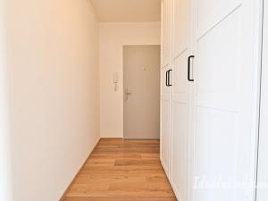 Pronájem bytu 2+kk, Brno, Spolková, 52 m2