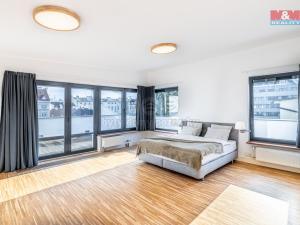 Pronájem bytu 3+kk, Praha - Holešovice, Dělnická, 252 m2