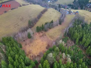 Prodej pozemku pro bydlení, Sobkovice, 8048 m2