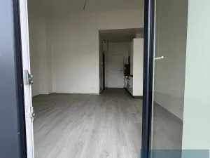 Pronájem bytu 1+kk, Lomnice, Dlouhá, 30 m2