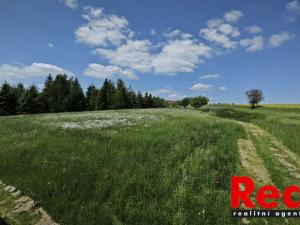 Prodej pozemku pro bydlení, Ježkovice, 3053 m2