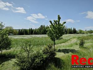 Prodej pozemku pro bydlení, Ježkovice, 1400 m2