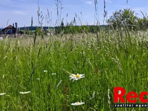 Prodej pozemku pro bydlení, Ježkovice, 3053 m2