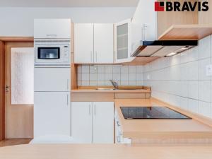 Pronájem bytu 1+kk, Brno, Vídeňská, 48 m2