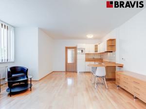 Pronájem bytu 1+kk, Brno, Vídeňská, 48 m2