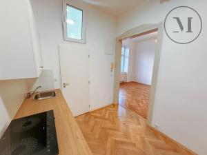 Pronájem bytu 1+1, České Budějovice, U Malše, 45 m2