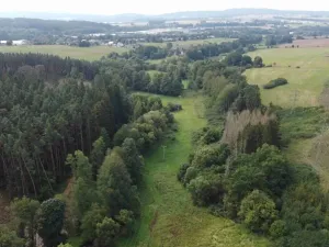 Dražba louky, Tachov, 22995 m2