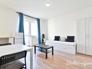 Pronájem bytu 1+kk, Brno, Cejl, 23 m2