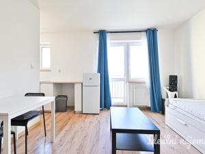 Pronájem bytu 1+kk, Brno, Cejl, 23 m2