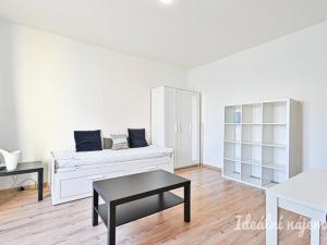 Pronájem bytu 1+kk, Brno, Cejl, 23 m2