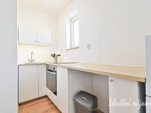 Pronájem bytu 1+kk, Brno, Cejl, 23 m2