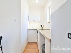 Pronájem bytu 1+kk, Brno, Cejl, 23 m2