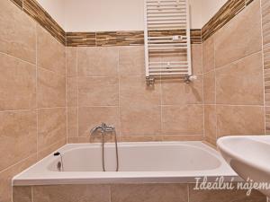 Pronájem bytu 1+kk, Brno, Cejl, 23 m2