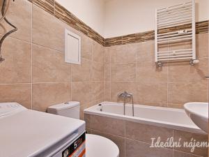 Pronájem bytu 1+kk, Brno, Cejl, 23 m2