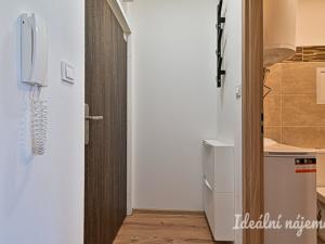 Pronájem bytu 1+kk, Brno, Cejl, 23 m2