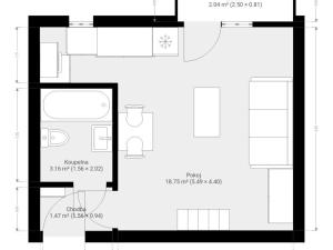 Pronájem bytu 1+kk, Brno, Cejl, 23 m2