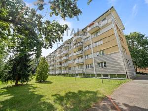 Pronájem bytu 1+kk, Hradec Králové, Gagarinova, 35 m2