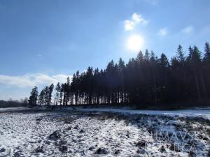 Prodej zahrady, Strašín - Maleč, 3552 m2