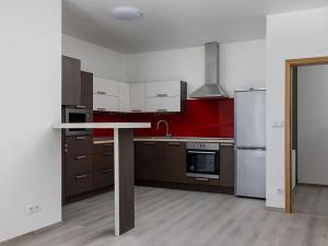 Pronájem bytu 2+kk, Praha - Žižkov, Jeseniova, 55 m2