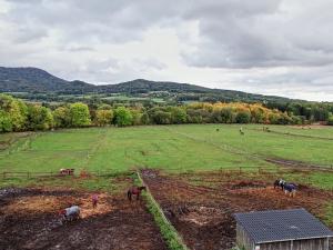 Prodej pozemku, Třebušín, 127000 m2