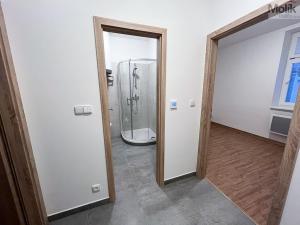 Pronájem bytu 2+kk, Duchcov, Teplická, 45 m2