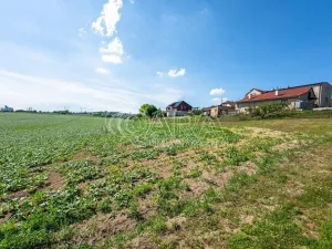 Prodej pozemku pro bydlení, Dobrovice - Úherce, 1121 m2