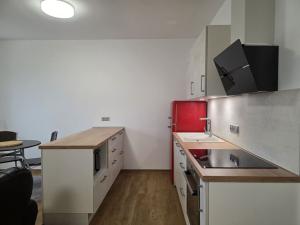 Pronájem bytu 1+kk, Plzeň, Na Rybníčku, 51 m2