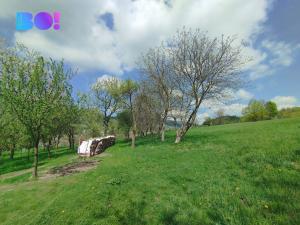 Prodej chalupy, Kozlovice, 155 m2