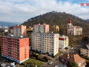 Pronájem bytu 1+1, Ústí nad Labem - Střekov, Žukovova, 35 m2