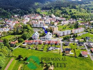 Prodej bytu 2+kk, Lázně Kynžvart, Královské svahy, 50 m2