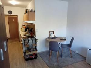 Pronájem bytu 1+kk, Uherský Brod, 30 m2