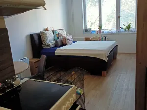 Pronájem bytu 1+kk, Uherský Brod, 30 m2