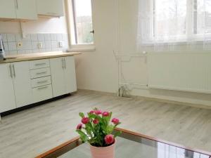 Prodej bytu 1+kk, Olešnice v Orlických horách, 27 m2
