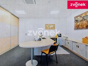 Pronájem bytu 1+kk, Zlín - Malenovice, 170 m2