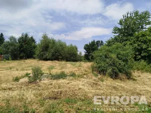 Prodej pozemku pro bydlení, Moraveč, 1950 m2