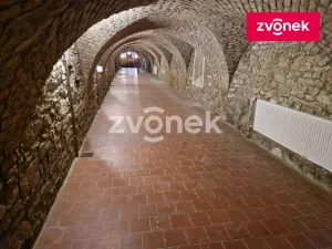 Pronájem obchodního prostoru, Uherské Hradiště, 650 m2