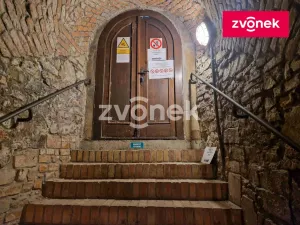 Pronájem obchodního prostoru, Uherské Hradiště, 650 m2