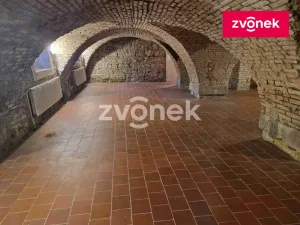 Pronájem obchodního prostoru, Uherské Hradiště, 650 m2