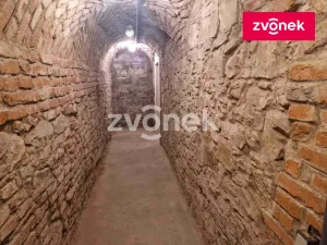 Pronájem obchodního prostoru, Uherské Hradiště, 650 m2