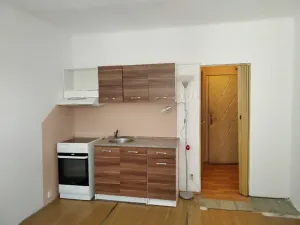 Pronájem bytu 1+kk, Liberec, Oldřichova, 20 m2