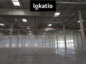 Pronájem skladu, Ostředek, 4000 m2