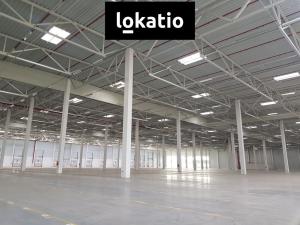 Pronájem skladu, Ostředek, 4000 m2