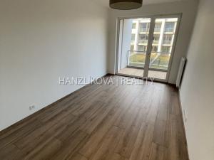 Pronájem bytu 2+kk, České Budějovice, Branišovská, 52 m2