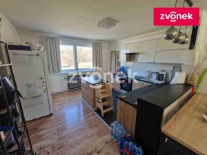 Prodej rodinného domu, Velká nad Veličkou, 530 m2