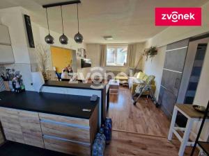 Prodej rodinného domu, Velká nad Veličkou, 530 m2